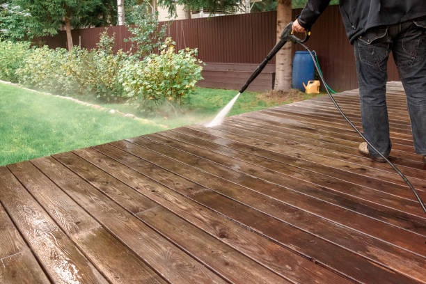 Best Solar Panel Cleaning  in Ridley Rk, PA