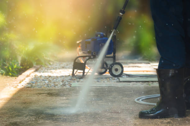 Best Driveway Pressure Washing  in Ridley Rk, PA